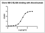 Atezolizumab Antibody in ELISA (ELISA)