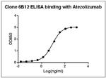 Atezolizumab Antibody in ELISA (ELISA)
