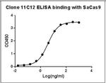 SaCas9 Antibody in ELISA (ELISA)