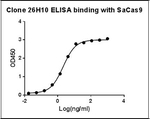 SaCas9 Antibody in ELISA (ELISA)