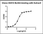 SaCas9 Antibody in ELISA (ELISA)