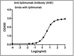 Ipilimumab Antibody in ELISA (ELISA)