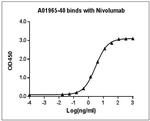 Nivolumab Antibody in ELISA (ELISA)