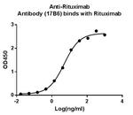 Rituximab Antibody in ELISA (ELISA)
