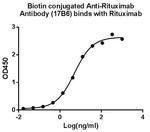 Rituximab Antibody in ELISA (ELISA)
