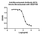 Bevacizumab Antibody in ELISA (ELISA)