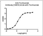 Tocilizumab Antibody in ELISA (ELISA)