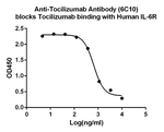 Tocilizumab Antibody in ELISA (ELISA)