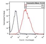 TIGIT Antibody in Flow Cytometry (Flow)
