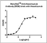 Atezolizumab Antibody in ELISA (ELISA)
