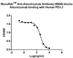 Atezolizumab Antibody in ELISA (ELISA)