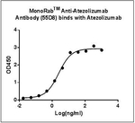 Atezolizumab Antibody in ELISA (ELISA)