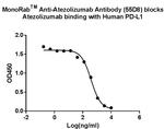 Atezolizumab Antibody in ELISA (ELISA)