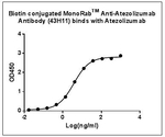Atezolizumab Antibody in ELISA (ELISA)