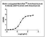 Atezolizumab Antibody in ELISA (ELISA)
