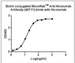 Nivolumab Antibody in ELISA (ELISA)
