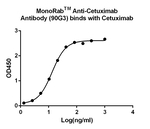 Cetuximab Antibody in ELISA (ELISA)