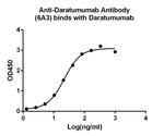 Daratumumab Antibody in ELISA (ELISA)