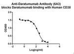 Daratumumab Antibody in ELISA (ELISA)