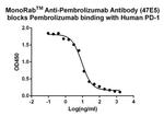 Pembrolizumab Antibody in ELISA (ELISA)