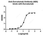 Durvalumab Antibody in ELISA (ELISA)
