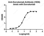 Durvalumab Antibody in ELISA (ELISA)