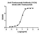 Trastuzumab Antibody in ELISA (ELISA)