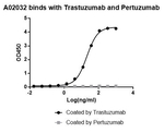 Trastuzumab Antibody in ELISA (ELISA)