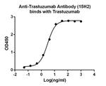 Trastuzumab Antibody in ELISA (ELISA)