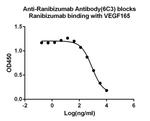 Ranibizumab Antibody in ELISA (ELISA)