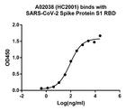 SARS-CoV-2 Spike S1 Chimeric Antibody in ELISA (ELISA)