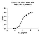 SARS-CoV-2 Spike S1 Chimeric Antibody in ELISA (ELISA)