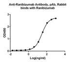 Ranibizumab Antibody in ELISA (ELISA)