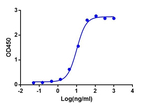 SARS-CoV-2 Spike S1 Chimeric Antibody in ELISA (ELISA)