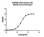SARS-CoV-2 Nucleocapsid Antibody in ELISA (ELISA)