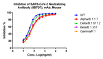 SARS-CoV-2 Neutralizing Monoclonal Antibody (5B7D7)