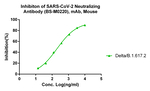 SARS-CoV-2 Neutralizing Monoclonal Antibody (BS-M0220)