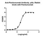 Panitumumab Antibody in ELISA (ELISA)