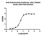Palivizumab Antibody in ELISA (ELISA)