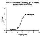 Golimumab Antibody in ELISA (ELISA)