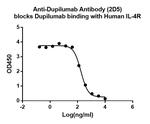 Dupilumab Antibody in ELISA (ELISA)