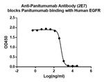 Panitumumab Antibody in ELISA (ELISA)