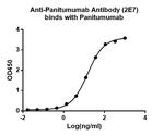 Panitumumab Antibody in ELISA (ELISA)