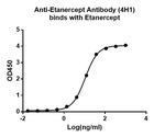 Etanercept Antibody in ELISA (ELISA)