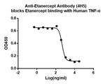 Etanercept Antibody in ELISA (ELISA)
