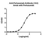 Pertuzumab Antibody in ELISA (ELISA)