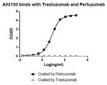 Pertuzumab Antibody in ELISA (ELISA)