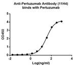 Pertuzumab Antibody in ELISA (ELISA)