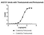 Pertuzumab Antibody in ELISA (ELISA)