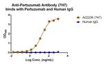 Pertuzumab Antibody in ELISA (ELISA)